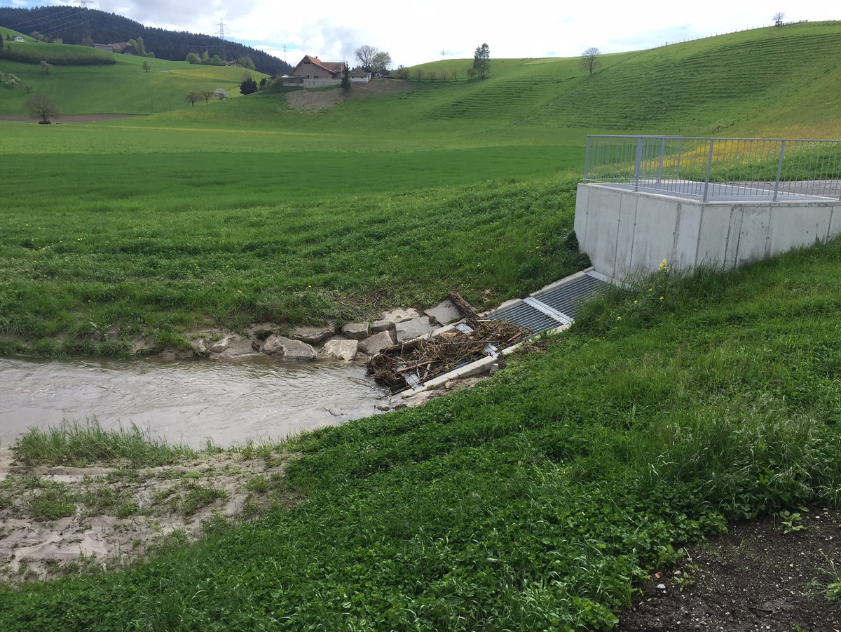 Neo Mein Radio Hochwasserschutz An Der Kiesen F Hrt Zu Unmut